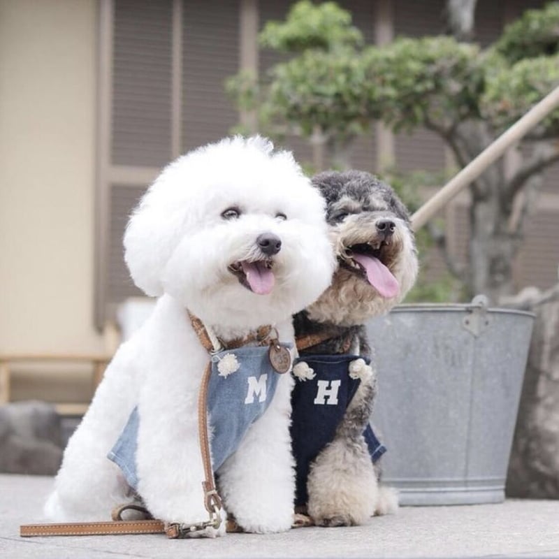 デニムエプロン（ライトブルー）MAKE SMILE | 犬服ブランドアイヌーン