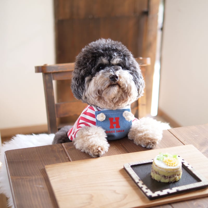 デニムエプロン（ライトブルー）MAKE SMILE | 犬服ブランドアイヌーン