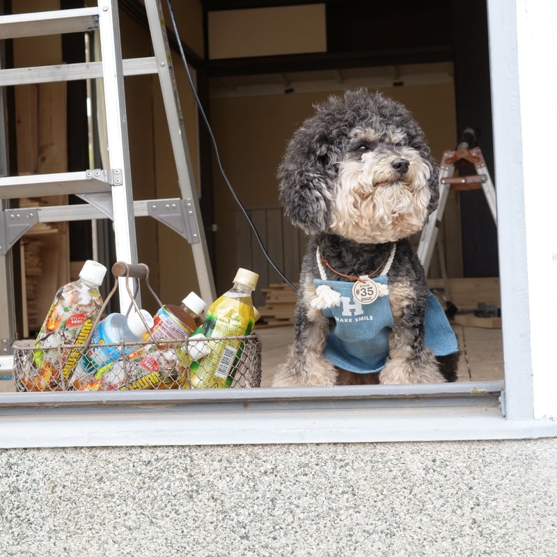 デニムエプロン（ライトブルー）MAKE SMILE | 犬服ブランドアイヌーン