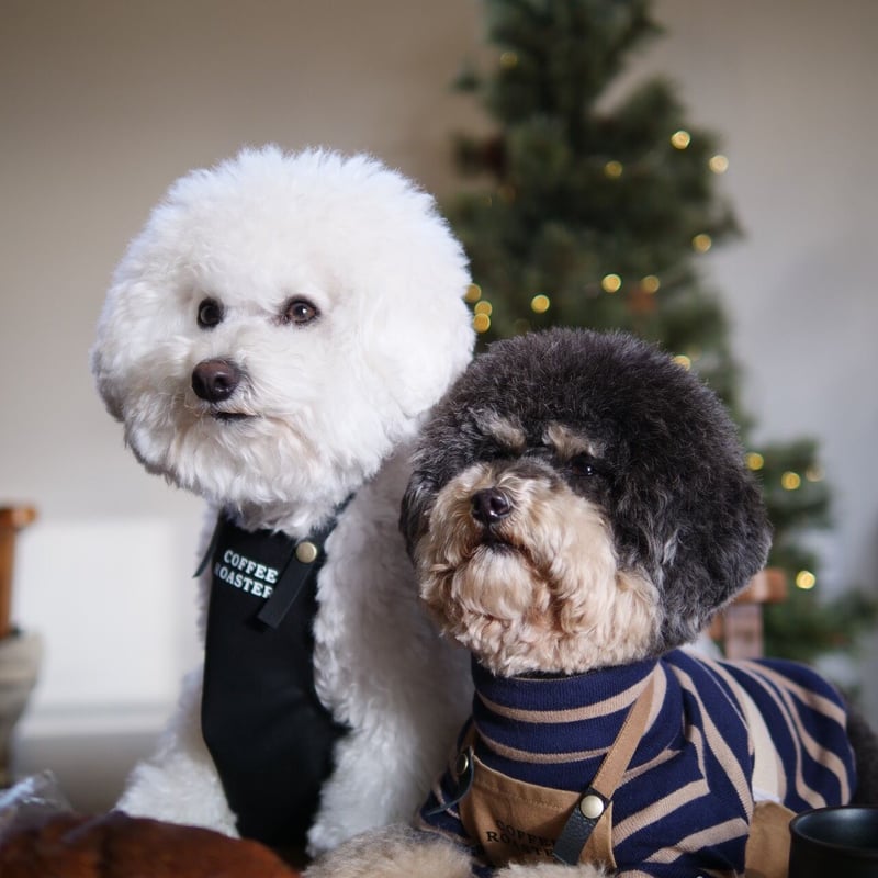 わんこカフェエプロン（黒） | 犬服ブランドアイヌーン/inun/あいぬー