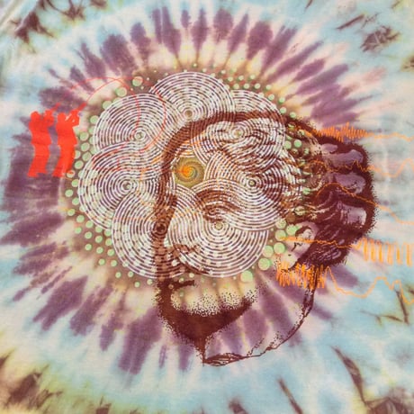 new  dimensions