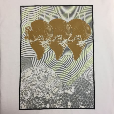 4次元T  インナービジョン