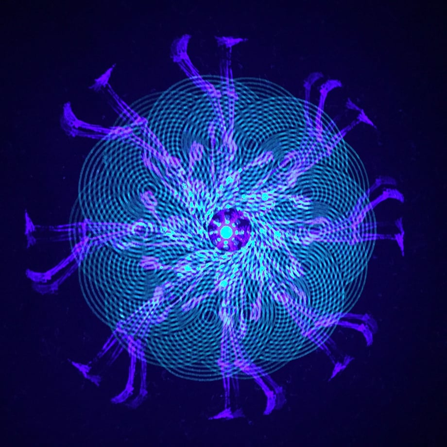 5c0d43b9c49cf33ec4b3b6c9