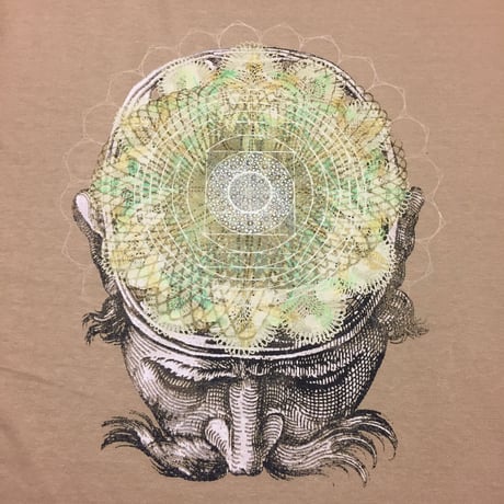 psy brain（4次元t）