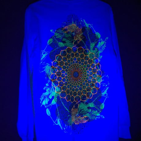 KOINOBORI ロンT