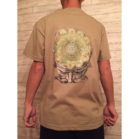 psy brain（4次元t）