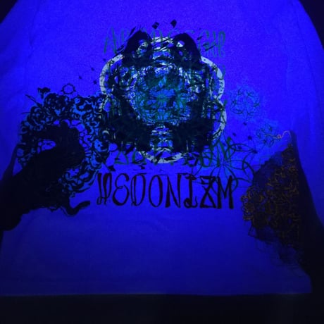 ワンダーランド