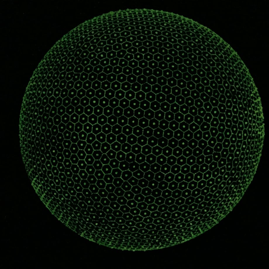 5bc9ed1d5496ff156800054e