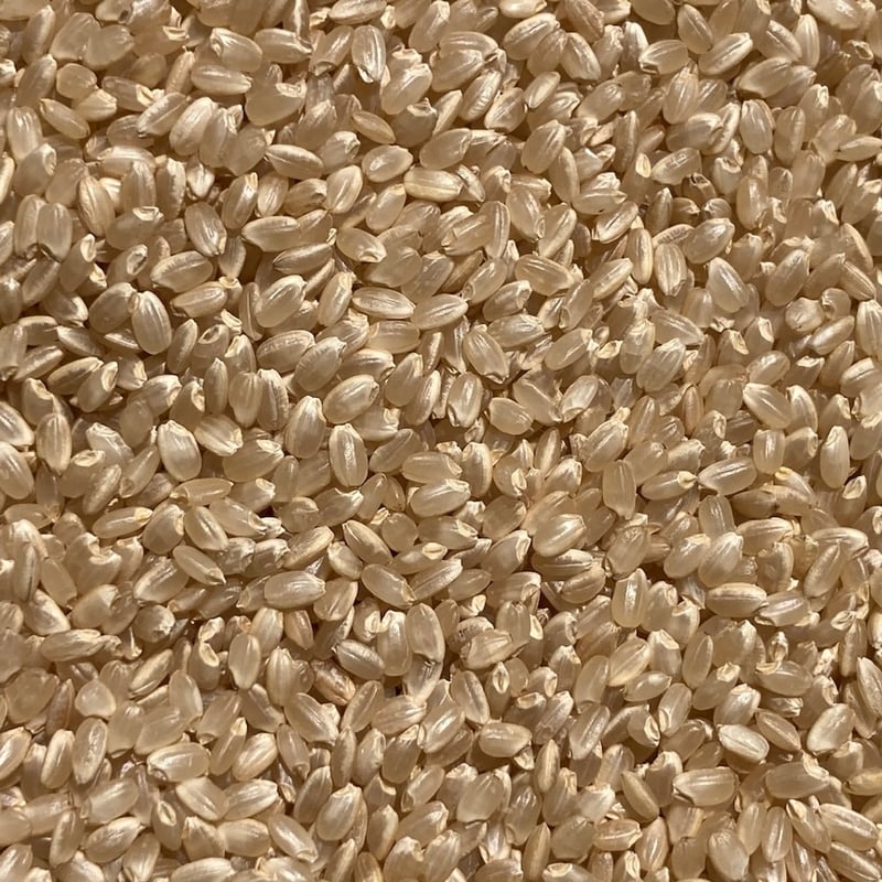 3ヶ月ごと】くぼちゃんファーム 特別栽培コシヒカリ20kg定期便