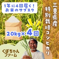 【3ヶ月ごと】くぼちゃんファーム　特別栽培コシヒカリ20kg定期便