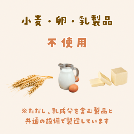 ビスコッティ 各種40ｇ