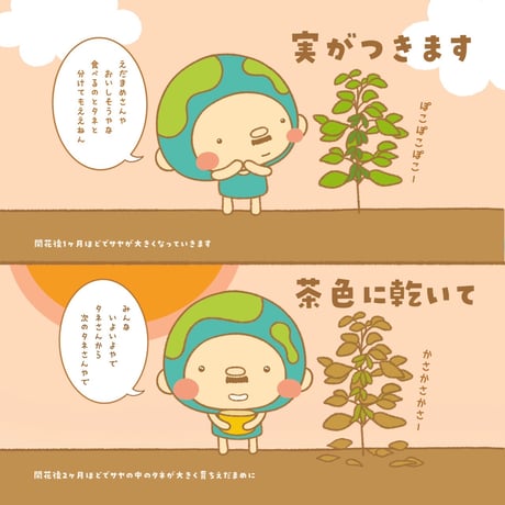 【EARTHおじさんとたねまき】在来種大豆の種10〜15粒（5g）と冊子