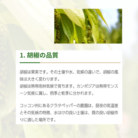 クラタペッパー　黒胡椒　【農薬・化学肥料不使用】35g