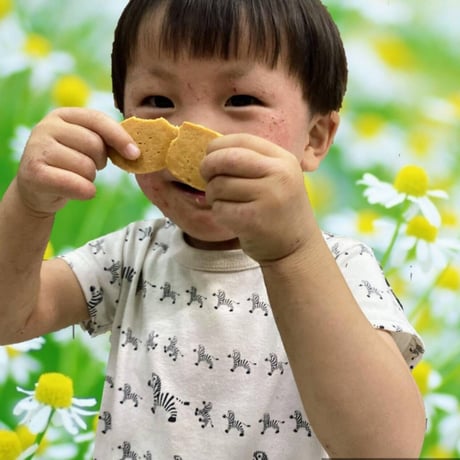 木頭村のおからくっきー