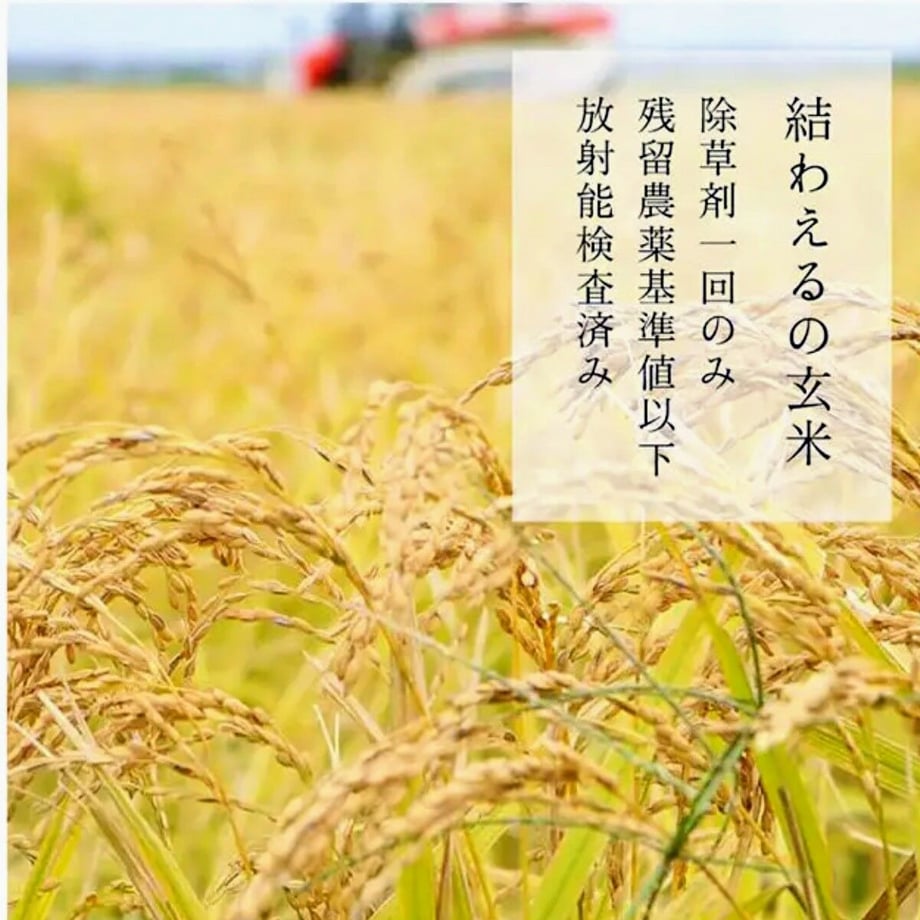650280f1401c31004d684276