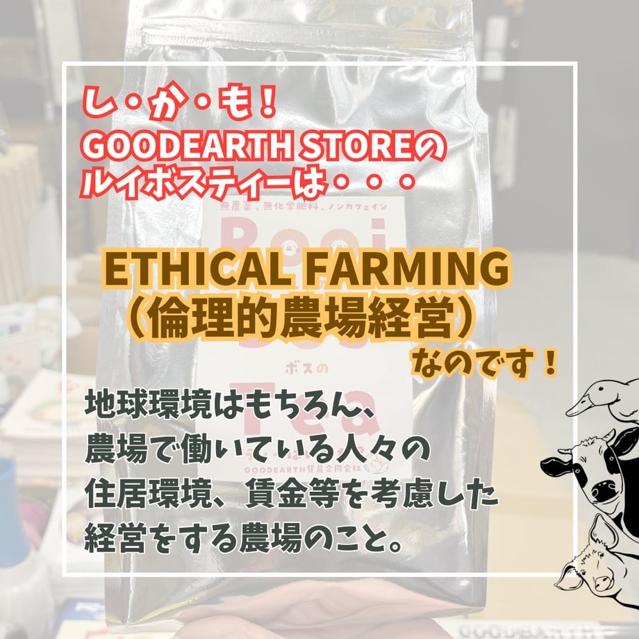 60fe848156e0f17ed8068041