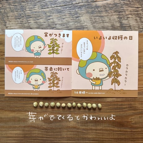 【EARTHおじさんとたねまき】在来種大豆の種10〜15粒（5g）と冊子