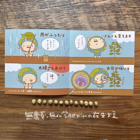 【EARTHおじさんとたねまき】在来種大豆の種10〜15粒（5g）と冊子
