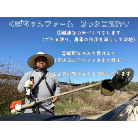 【3ヶ月ごと】くぼちゃんファーム　特別栽培コシヒカリ20kg定期便