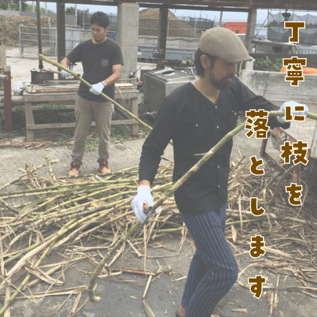 前田さんの珊瑚黒糖　(農水苑「虹」)