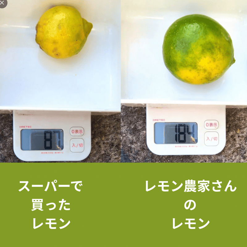 高知県産レモン（無農薬•ﾉﾝﾜｯｸｽ）2個🍋🍋 | GOODEARTH STORE ～子ど