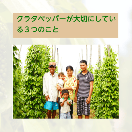 クラタペッパー　黒胡椒　【農薬・化学肥料不使用】35g