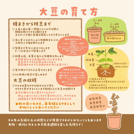 【EARTHおじさんとたねまき】在来種大豆の種10〜15粒（5g）と冊子