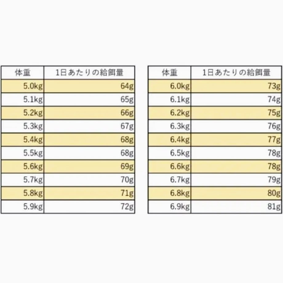 5ed5bc1655fa037858a8777e
