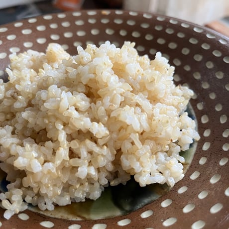 【令和7年産】自然栽培米（農薬・肥料不使用）ササシグレ / ササニシキ / 亀の尾