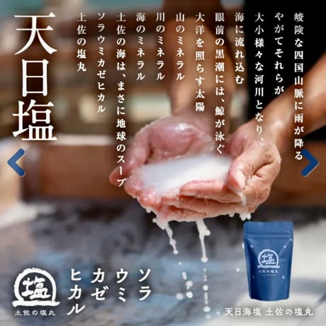 土佐の塩丸 各種