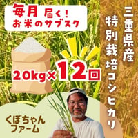 【1ヶ月ごと】くぼちゃんファーム　特別栽培コシヒカリ20kg定期便