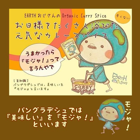◎【お得な大容量シリーズ】お日様をたくさんあびた元気なカレースパイス  250g