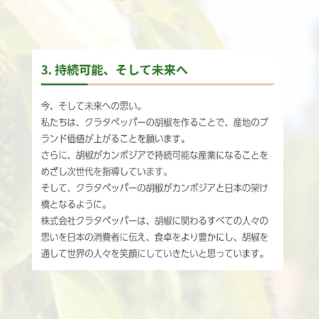 クラタペッパー　黒胡椒　【農薬・化学肥料不使用】35g
