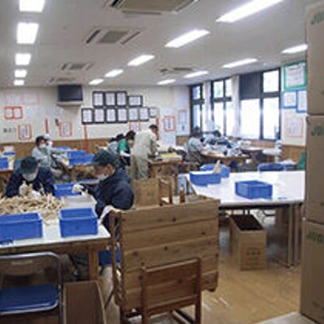 ★【卸売】EARTHおじさんのわりばし 『５００膳 』