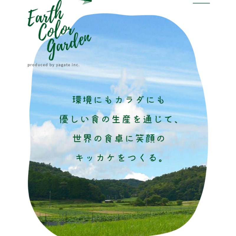 たけ　コシヒカリ23Kg(2/10) 福井コシヒカリ - 日本米 2kg – Yutaka Shop Online