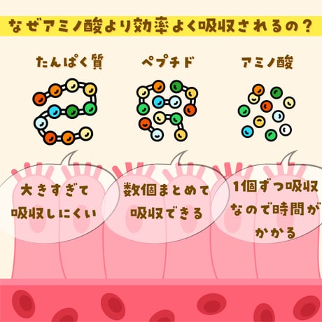 ぺぷちっこ