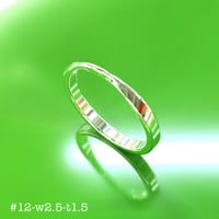 メビウスリング #12 w2.5 t1.5 STLデータ