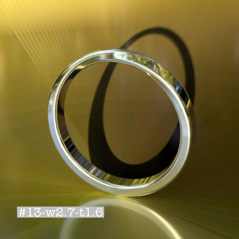 メビウスリンク3D 2024_05_06_14_46_02.jpg