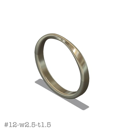 メビウスリング #12 w2.5 t1.5 STLデータ