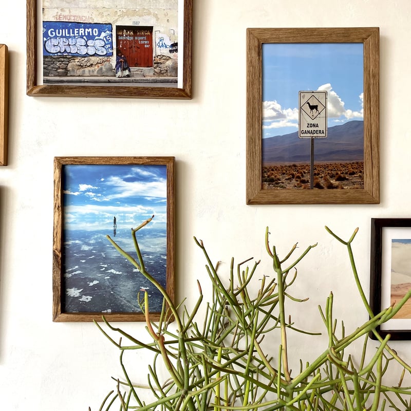 柱サボテン「植物 カラー」 A4 ポスター & 古材 ポスターフレーム