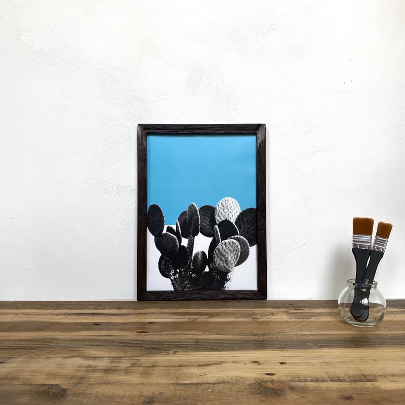 うちわサボテン「植物 カラー」 A4 ポスター & 古材 ポスターフレーム