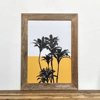 ドラセナ パープルコンパクタ「植物 カラー」  A4 ポスター & 古材 ポスターフレーム 壁掛け