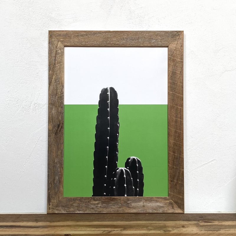 柱サボテン「植物 カラー」 A4 ポスター & 古材 ポスターフレーム