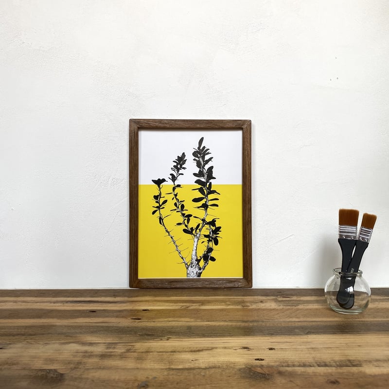 観峰玉「植物xカラー」 A4 ポスター & 古材 ポスターフレーム 壁掛け