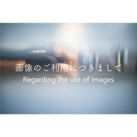画像のご利用につきまして Regarding the use of images