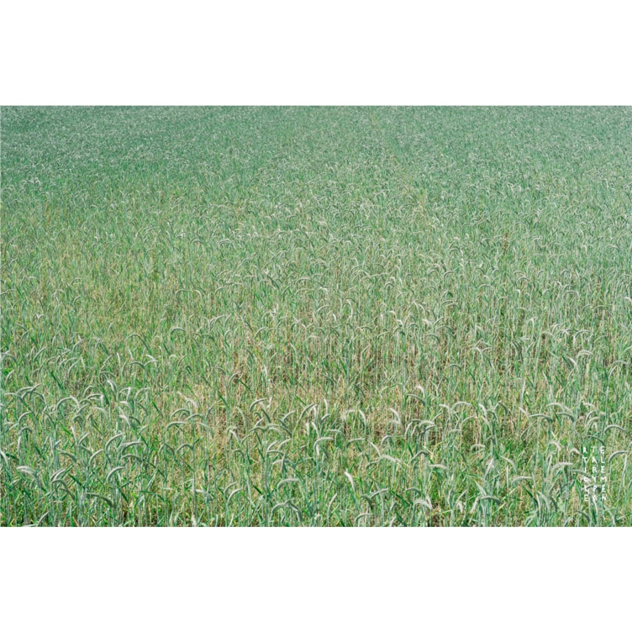 665720611ebb490637c8a1d7