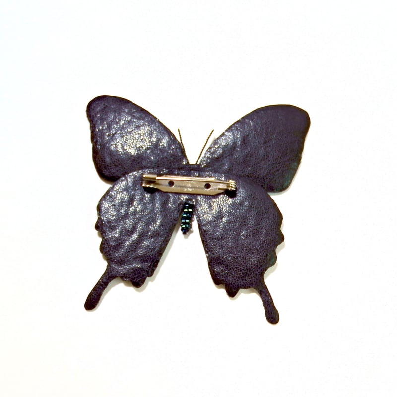 オオルリアゲハ「4頭」 【公式通販】