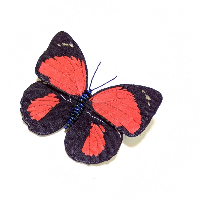 クラウディナミイロタテハ（クロエスス）♀ | BLISS TOKYO