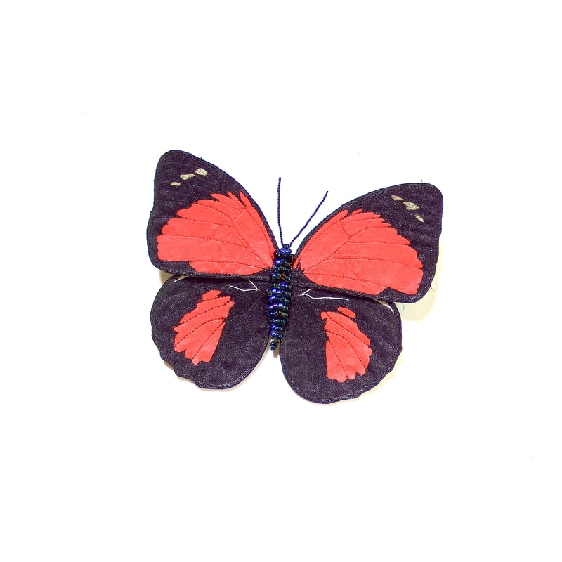 蝶標本　アナティスミイロタテハ　♂ ルーゲンスミイロタテハ , 蝶の標本 販売・通販のNatureShop