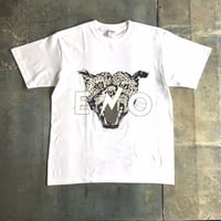 "Iggy+Eno=?”白+グレー5色ヴァージョン / designed by 西村浩平（DIGAWEL）
